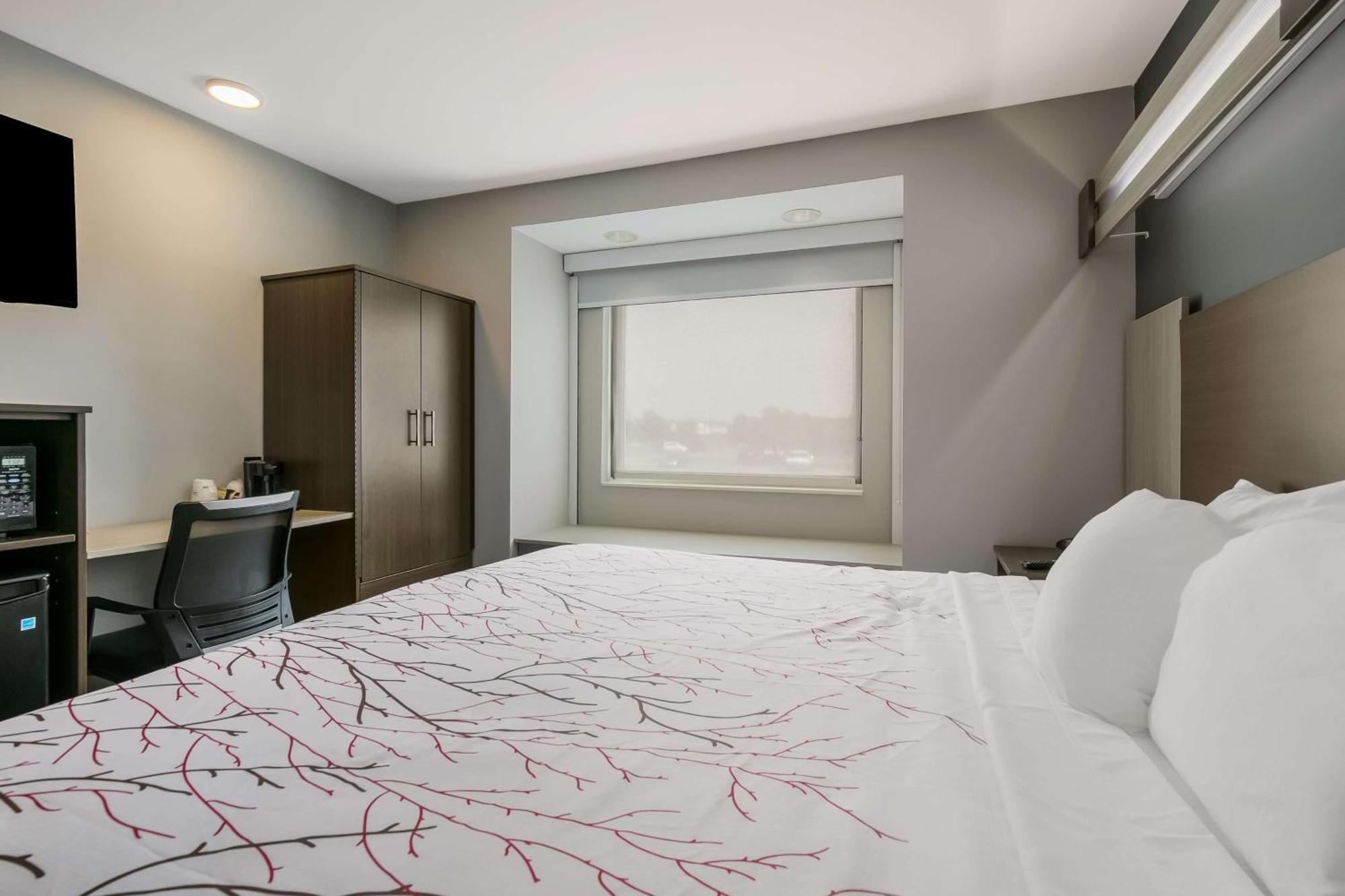 Surestay Plus Hotel By Best Western Sevierville Dış mekan fotoğraf